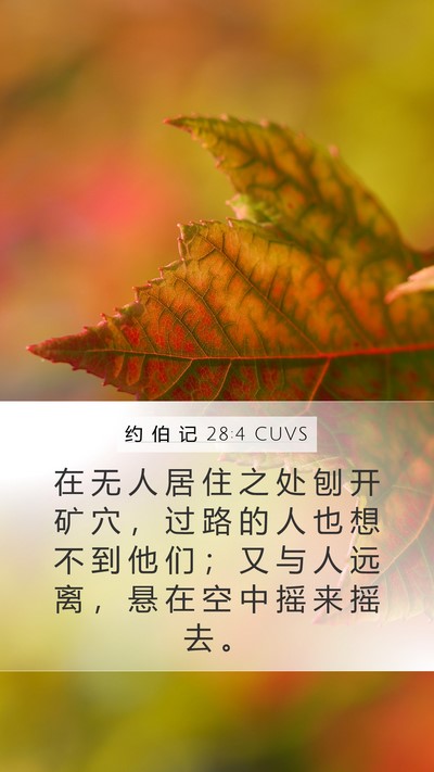 约 伯 记 28:4 CUVS Mobile Phone Wallpaper - 在 无 人 居 住 之 处 刨 开 矿 穴 ， - Mobile Bible Verse Wallpaper