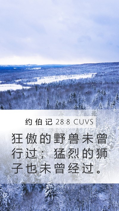 约 伯 记 28:8 CUVS Mobile Phone Wallpaper - 狂 傲 的 野 兽 未 曾 行 过 ； 猛 烈 - Mobile Bible Verse Wallpaper