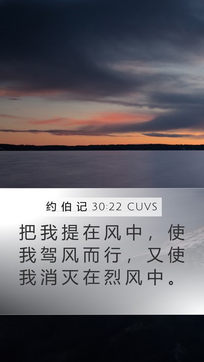 约 伯 记 30:22 CUVS Mobile Phone Wallpaper - 把 我 提 在 风 中 ， 使 我 驾 风 而 - Mobile Bible Verse Wallpaper