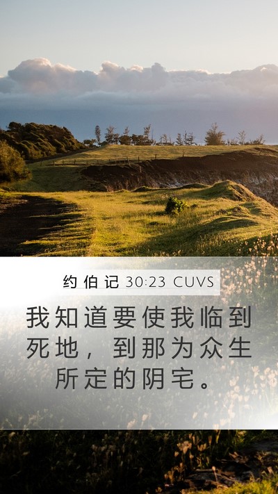 约 伯 记 30:23 CUVS Bible Verse Image