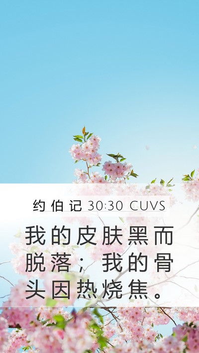 约 伯 记 30:30 CUVS Bible Verse Image