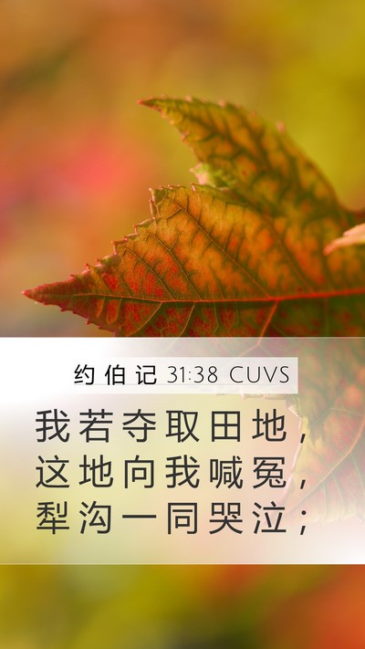 约 伯 记 31:38 CUVS Mobile Phone Wallpaper - 我 若 夺 取 田 地 ， 这 地 向 我 喊 - Mobile Bible Verse Wallpaper