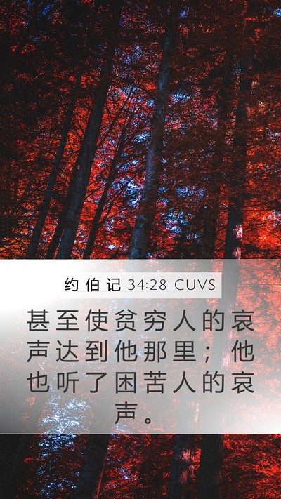 约 伯 记 34:28 CUVS Bible Verse Image