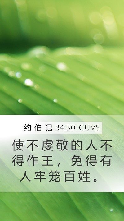 约 伯 记 34:30 CUVS Bible Verse Image