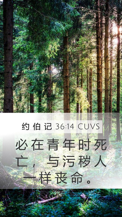 约 伯 记 36:14 CUVS Bible Verse Image