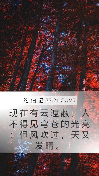 约 伯 记 37:21 CUVS Mobile Phone Wallpaper - 现 在 有 云 遮 蔽 ， 人 不 得 见 穹 - Mobile Bible Verse Wallpaper