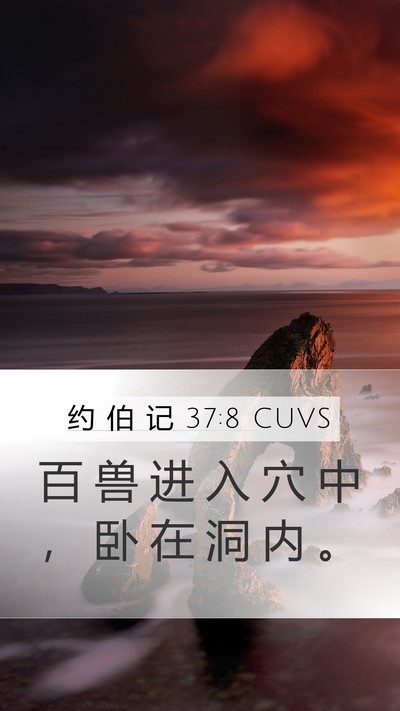 约 伯 记 37:8 CUVS Bible Verse Image