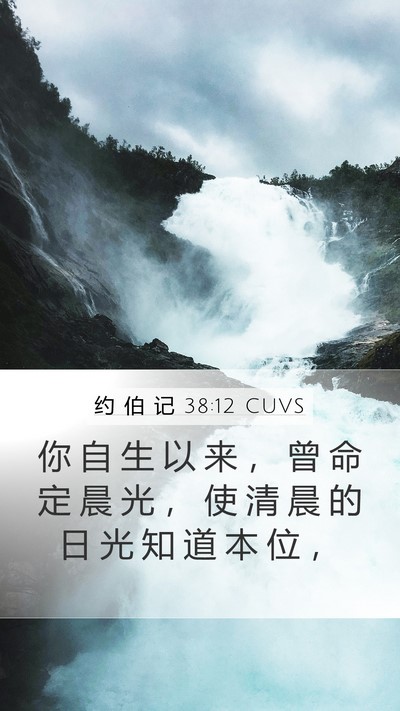 约 伯 记 38:12 CUVS Bible Verse Image