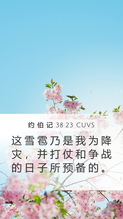 约 伯 记 38:23 CUVS Mobile Phone Wallpaper - 这 雪 雹 乃 是 我 为 降 灾 ， 并 打 - Mobile Bible Verse Wallpaper