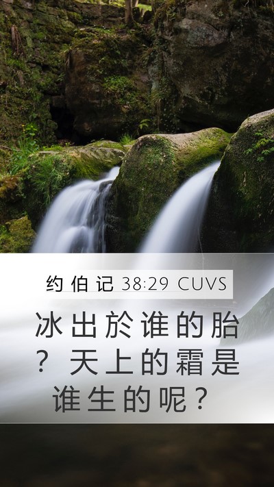 约 伯 记 38:29 CUVS Bible Verse Image
