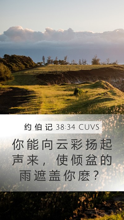 约 伯 记 38:34 CUVS Bible Verse Image