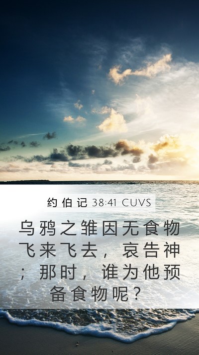 约 伯 记 38:41 CUVS Bible Verse Image