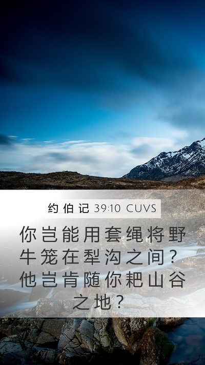 约 伯 记 39:10 CUVS Mobile Phone Wallpaper - 你 岂 能 用 套 绳 将 野 牛 笼 在 犁 - Mobile Bible Verse Wallpaper