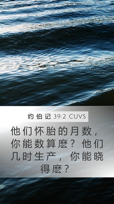 约 伯 记 39:2 CUVS Mobile Phone Wallpaper - 他 们 怀 胎 的 月 数 ， 你 能 数 算 - Mobile Bible Verse Wallpaper