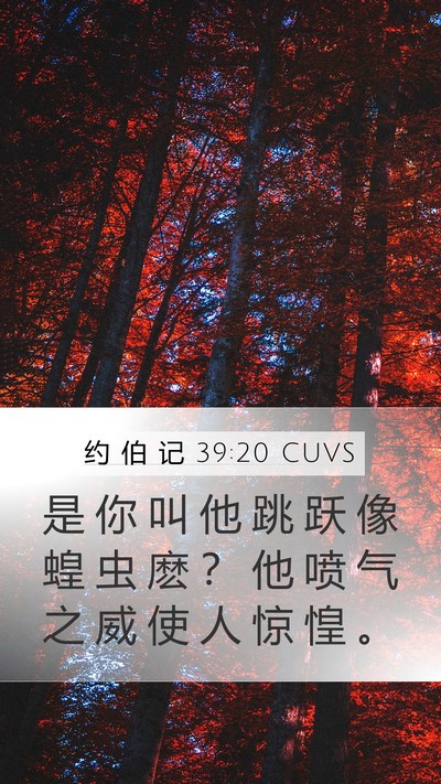 约 伯 记 39:20 CUVS Mobile Phone Wallpaper - 是 你 叫 他 跳 跃 像 蝗 虫 麽 ？ 他 - Mobile Bible Verse Wallpaper
