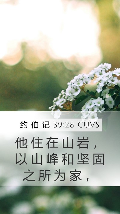 约 伯 记 39:28 CUVS Mobile Phone Wallpaper - 他 住 在 山 岩 ， 以 山 峰 和 坚 固 - Mobile Bible Verse Wallpaper