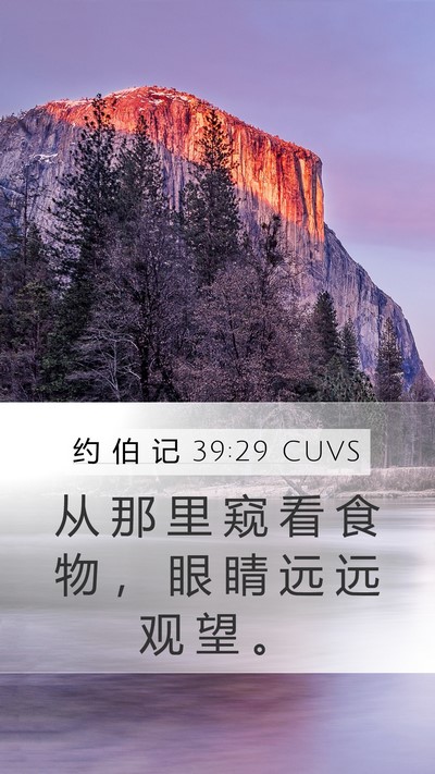约 伯 记 39:29 CUVS Bible Verse Image