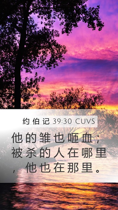 约 伯 记 39:30 CUVS Bible Verse Image