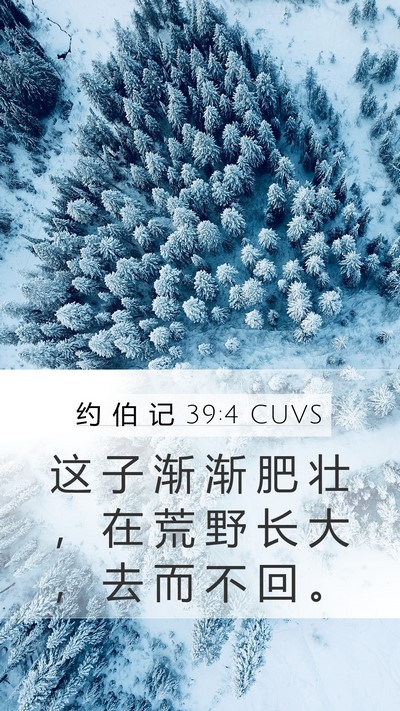 约 伯 记 39:4 CUVS Bible Verse Image