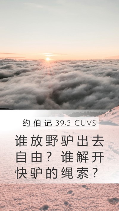 约 伯 记 39:5 CUVS Bible Verse Image