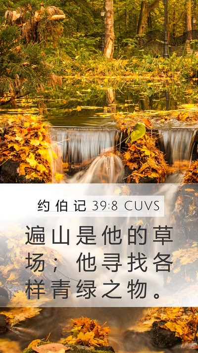 约 伯 记 39:8 CUVS Bible Verse Image
