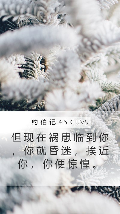 约 伯 记 4:5 CUVS Bible Verse Image