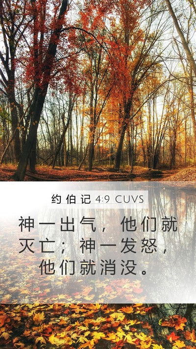 约 伯 记 4:9 CUVS Bible Verse Image