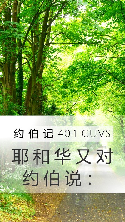 约 伯 记 40:1 CUVS Mobile Phone Wallpaper - 耶 和 华 又 对 约 伯 说 - Mobile Bible Verse Wallpaper