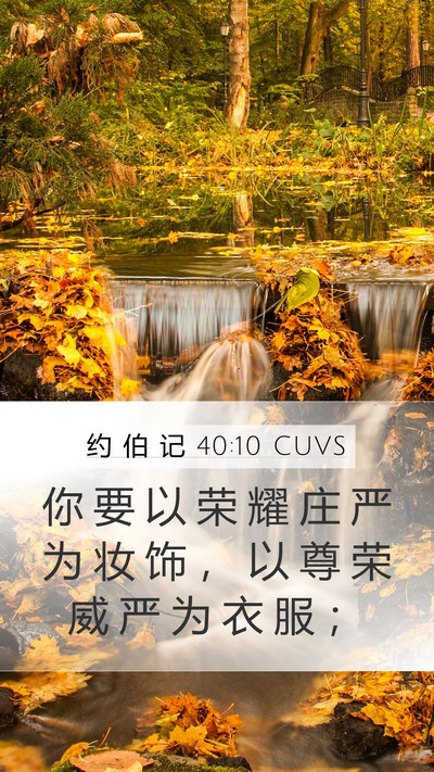 约 伯 记 40:10 CUVS Bible Verse Image
