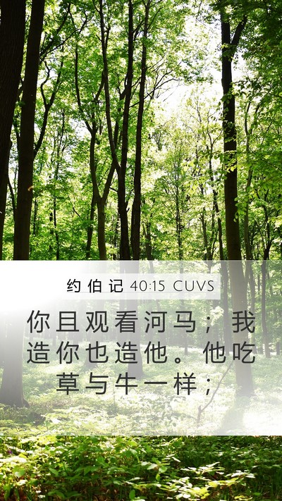 约 伯 记 40:15 CUVS Bible Verse Image