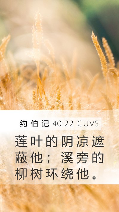约 伯 记 40:22 CUVS Bible Verse Image