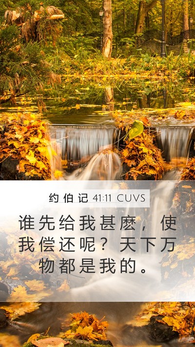 约 伯 记 41:11 CUVS Bible Verse Image