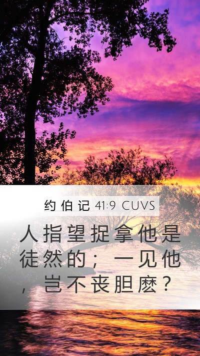 约 伯 记 41:9 CUVS Mobile Phone Wallpaper - 人 指 望 捉 拿 他 是 徒 然 的 ； 一 - Mobile Bible Verse Wallpaper