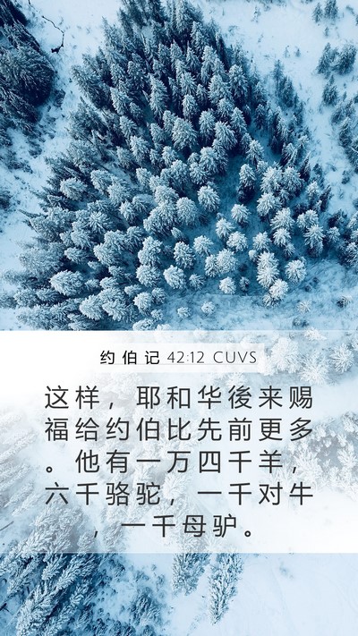 约 伯 记 42:12 CUVS Bible Verse Image