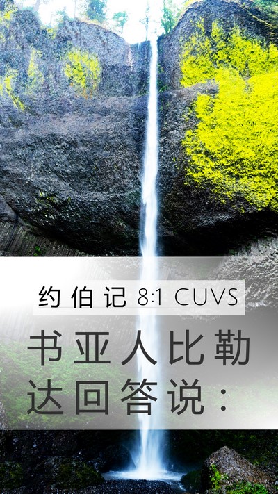 约 伯 记 8:1 CUVS Bible Verse Image