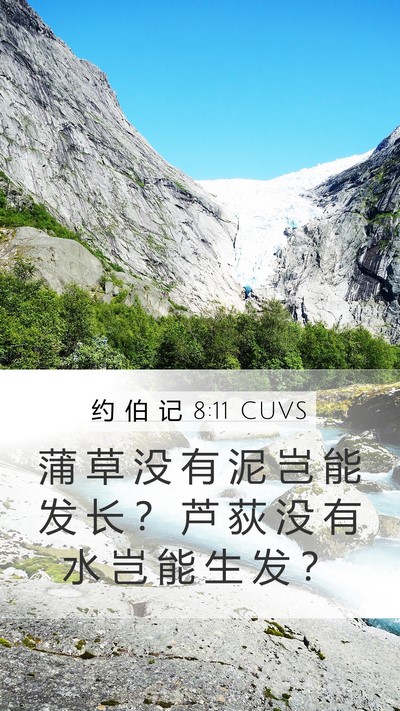 约 伯 记 8:11 CUVS Bible Verse Image