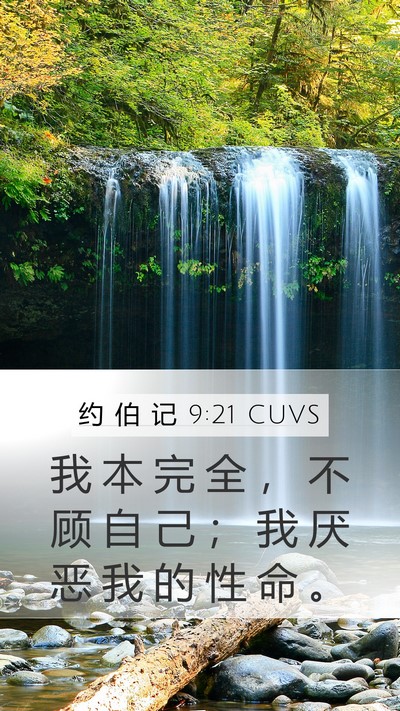 约 伯 记 9:21 CUVS Bible Verse Image