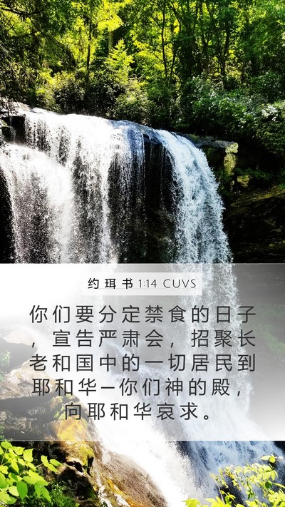 约 珥 书 1:14 CUVS Bible Verse Image