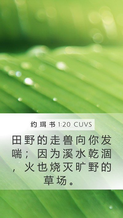 约 珥 书 1:20 CUVS Bible Verse Image
