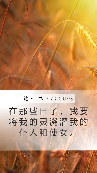 约 珥 书 2:29 CUVS Bible Verse Image