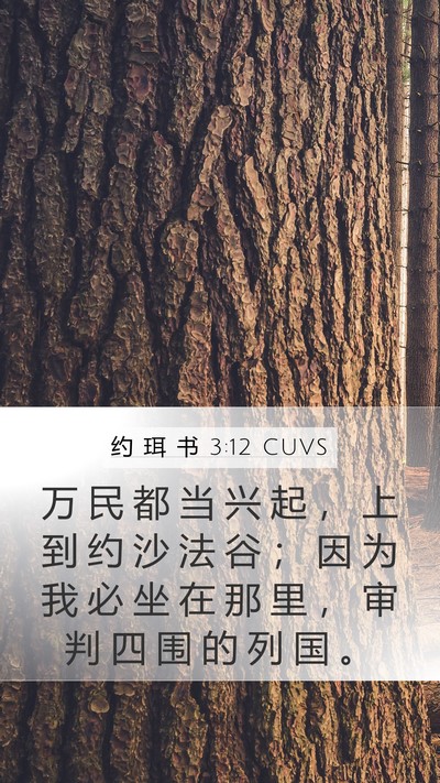 约 珥 书 3:12 CUVS Bible Verse Image