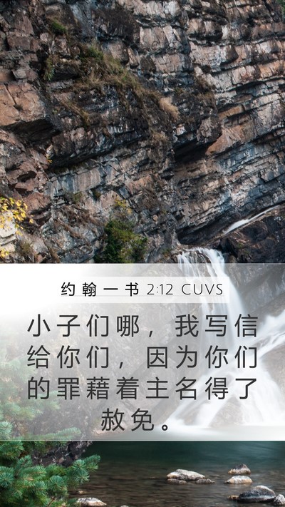 约 翰 一 书 2:12 CUVS Bible Verse Image