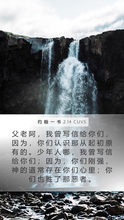 约 翰 一 书 2:14 CUVS Bible Verse Image