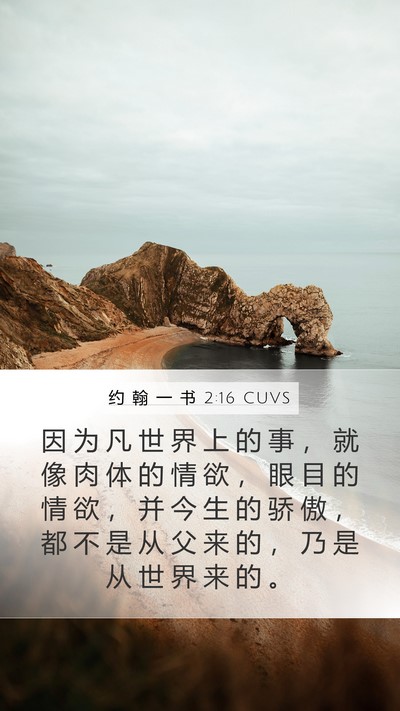 约 翰 一 书 2:16 CUVS Bible Verse Image