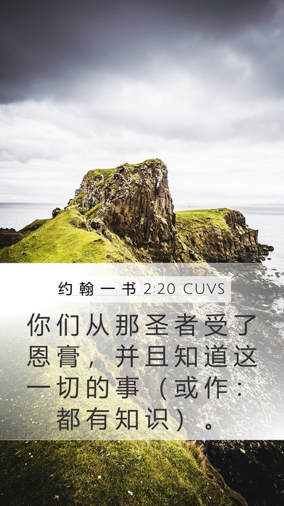 约 翰 一 书 2:20 CUVS Bible Verse Image