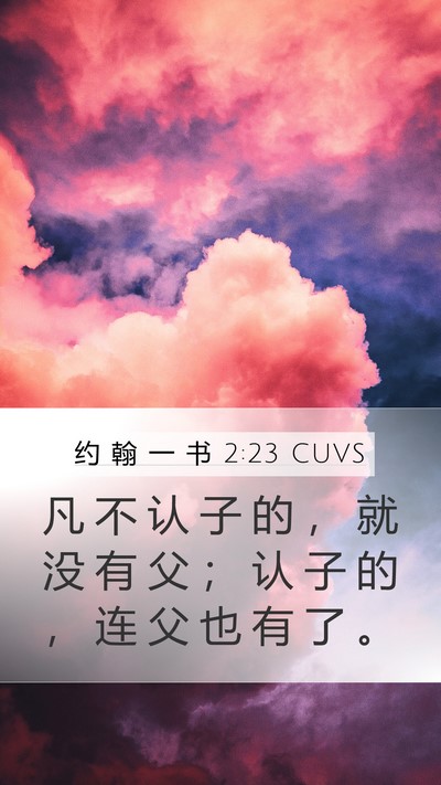 约 翰 一 书 2:23 CUVS Bible Verse Image