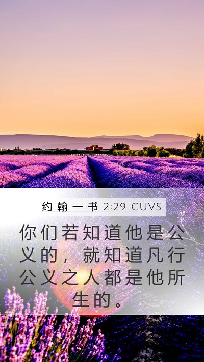 约 翰 一 书 2:29 CUVS Bible Verse Image