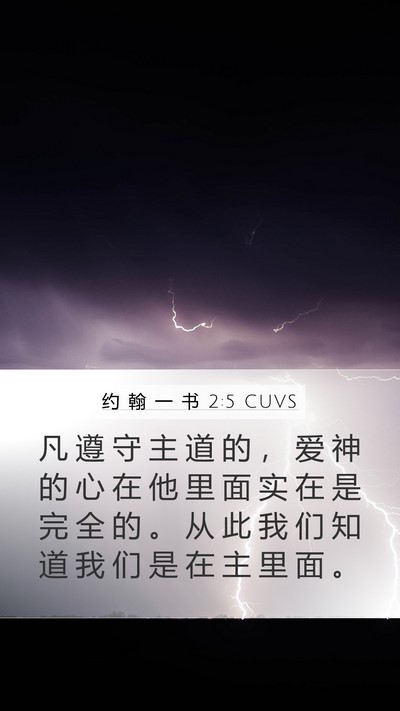 约 翰 一 书 2:5 CUVS Bible Verse Image