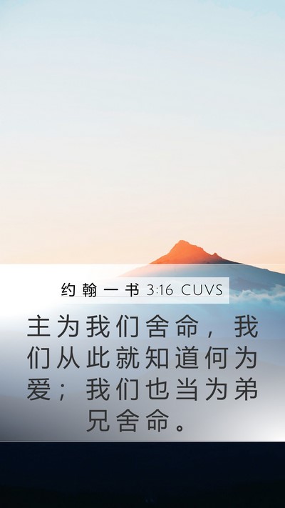 约 翰 一 书 3:16 CUVS Bible Verse Image