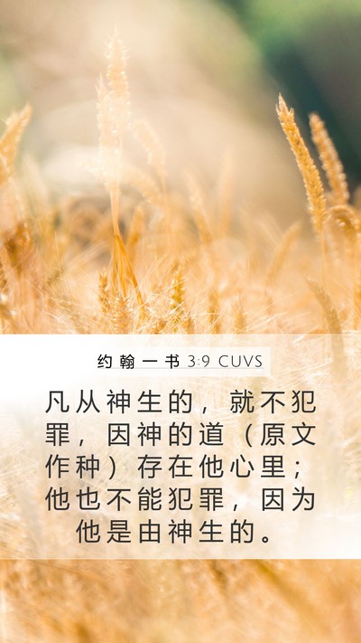约 翰 一 书 3:9 CUVS Bible Verse Image